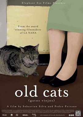 养猫十余载，收获猫妖老婆免费阅读